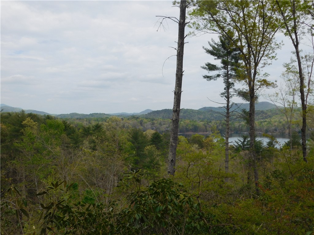 Lot 4 Old Chapman Bridge Road Salem, SC 29676 - Photo 3 of 9 Gallery Image 3