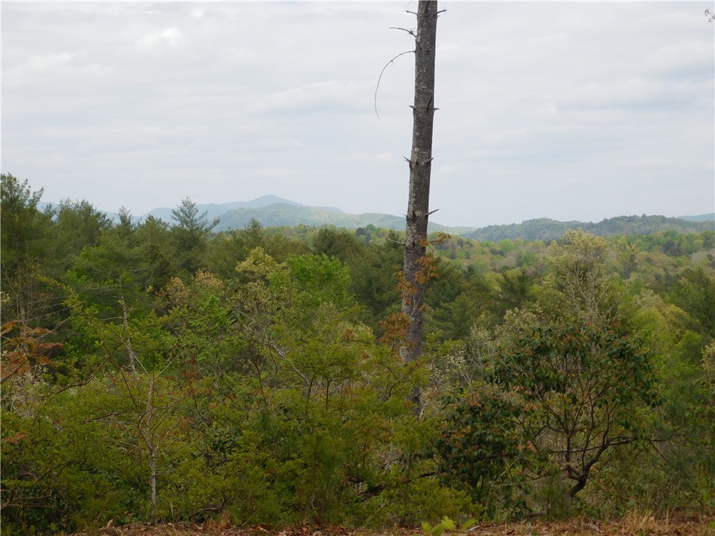 Lot 4 Old Chapman Bridge Road Salem, SC 29676 - Photo 4 of 9 Gallery Image 4