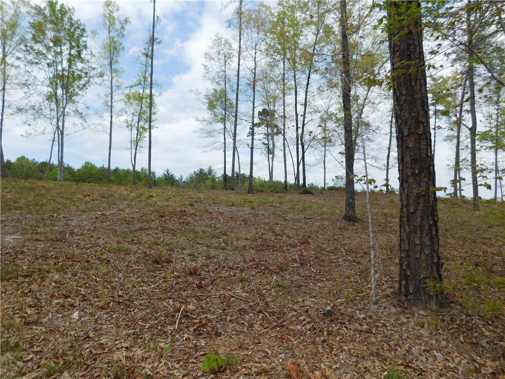 Lot 4 Old Chapman Bridge Road Salem, SC 29676 - Photo 6 of 9 Gallery Image 6