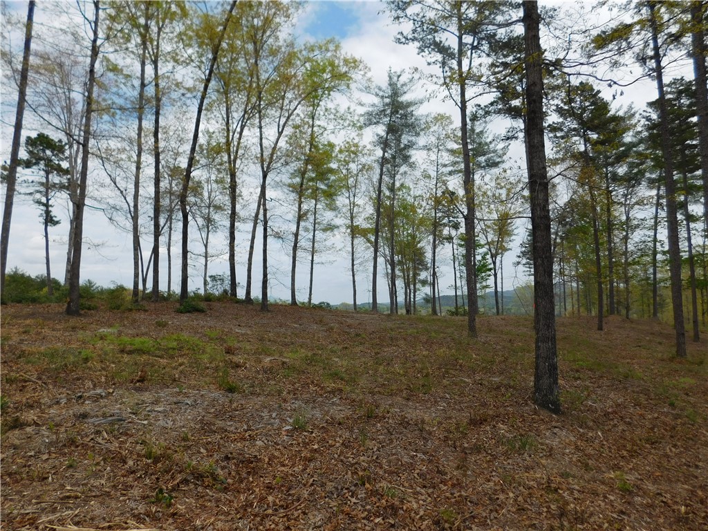 Lot 4 Old Chapman Bridge Road Salem, SC 29676 - Photo 7 of 9 Gallery Image 7