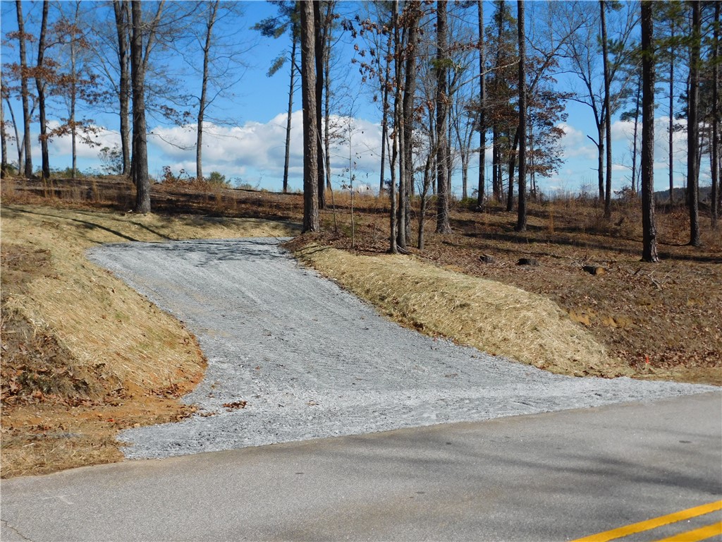 Lot 4 Old Chapman Bridge Road Salem, SC 29676 - Photo 8 of 9 Gallery Image 8