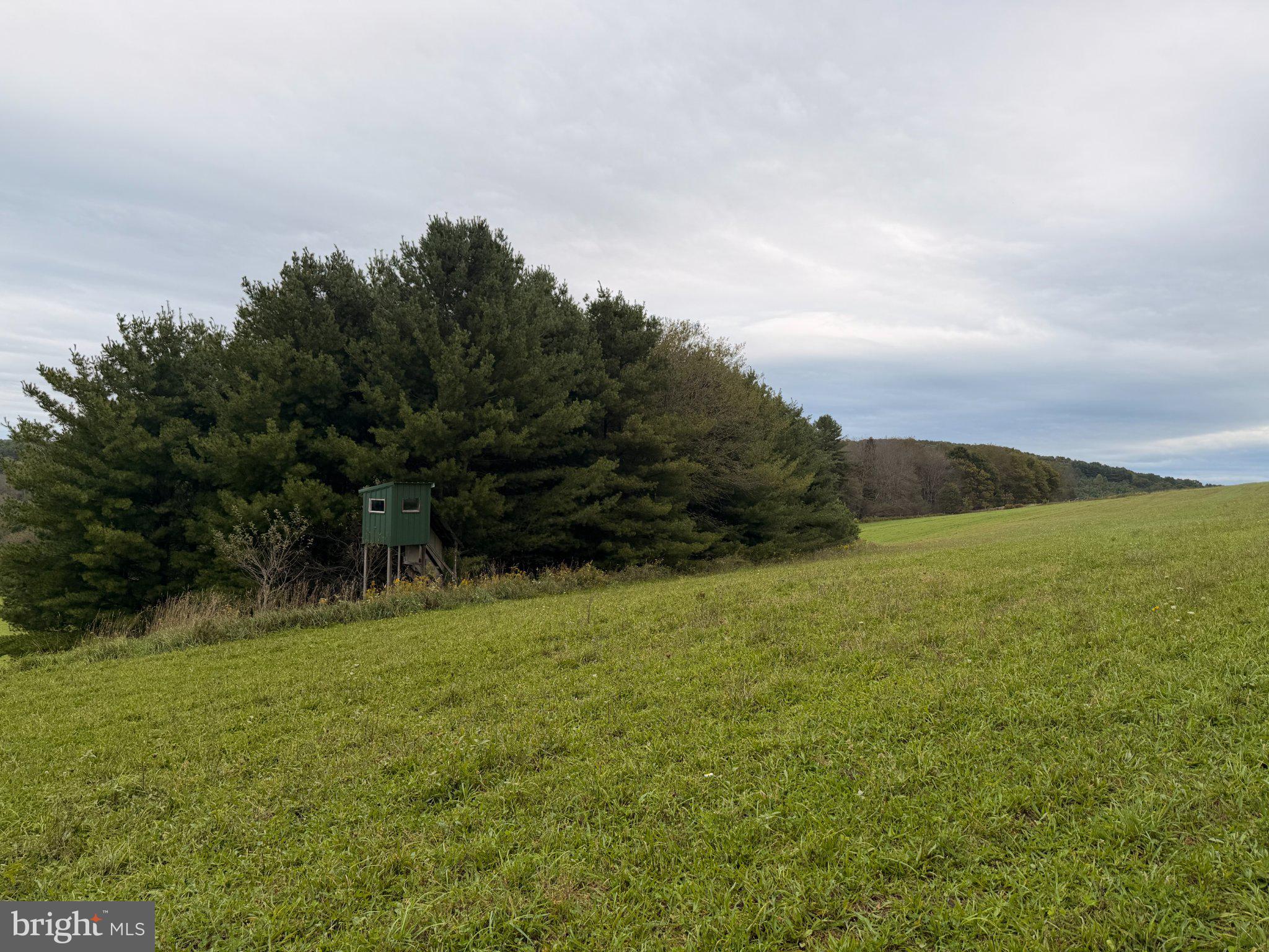 2504 Boiling Spring Road Deer Park, MD 21550 - Photo 16 of 67 Gallery Image 16