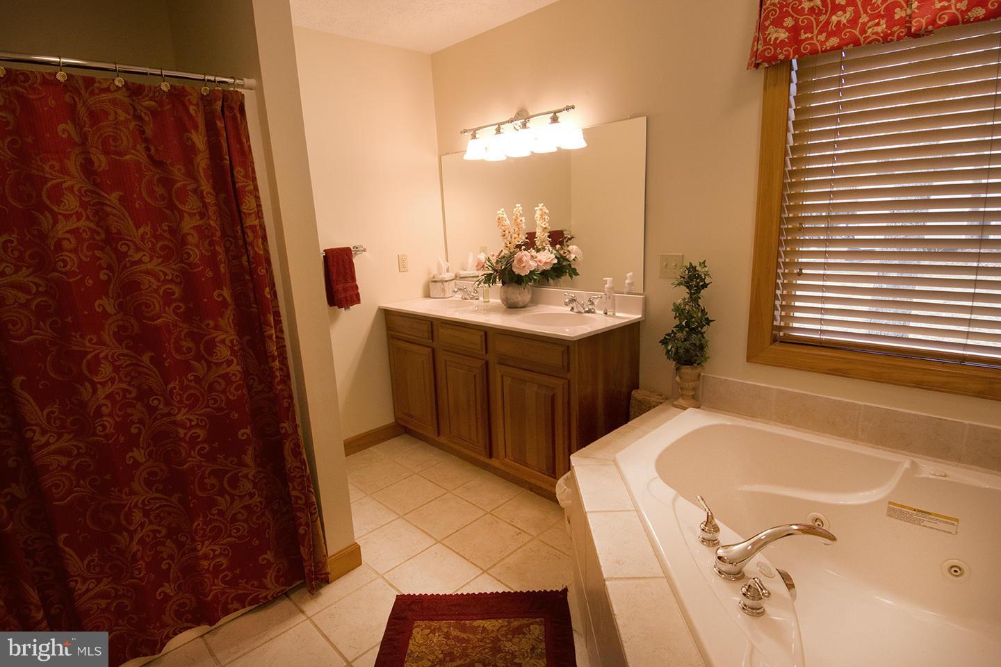 312 Oak Way Road Swanton, MD 21561 - Photo 15 of 30 Master Bath