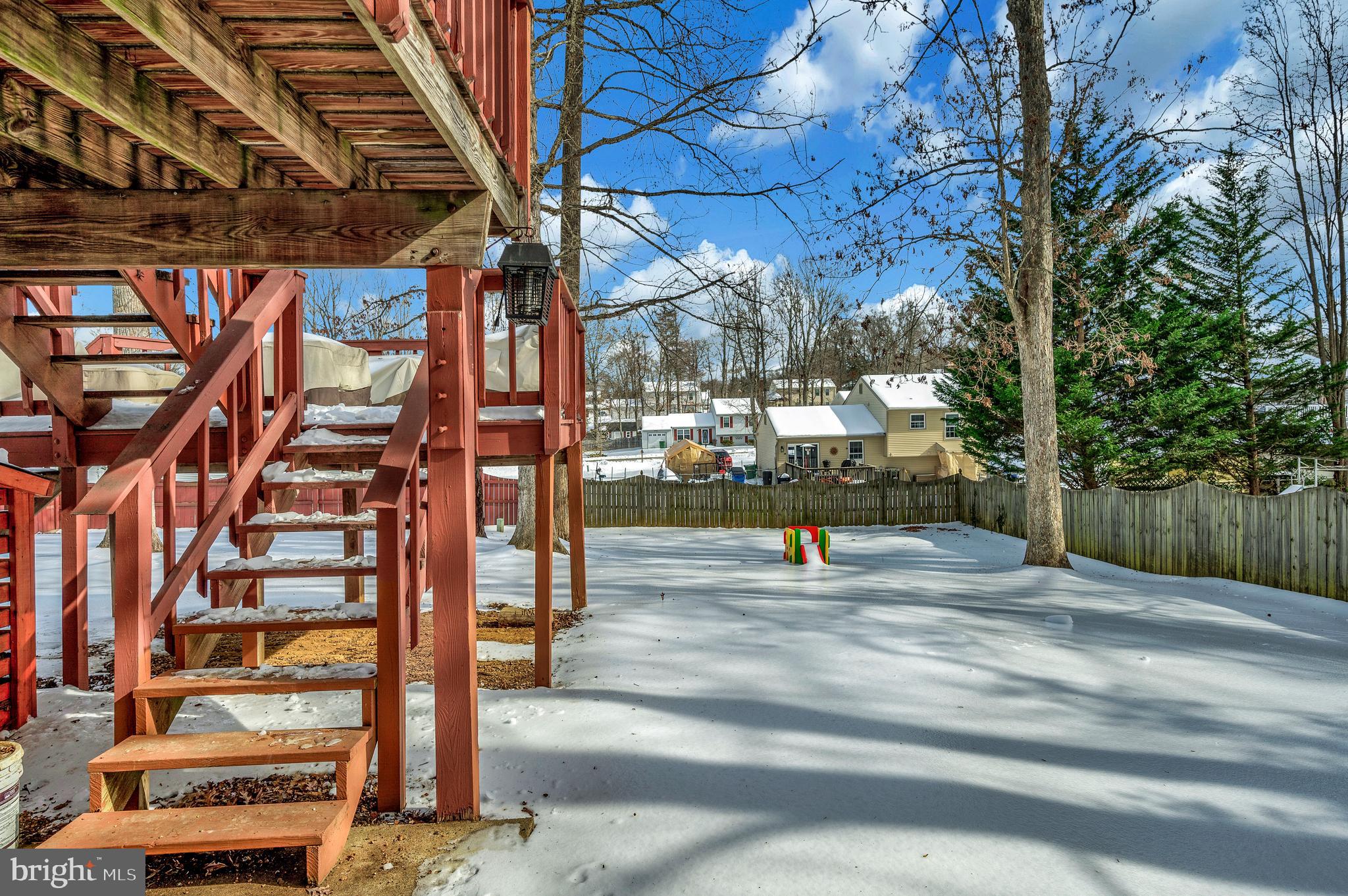 228 Choptank Road Stafford, VA 22556 - Photo 3 of 51 a view of tall trees with a bench and trees