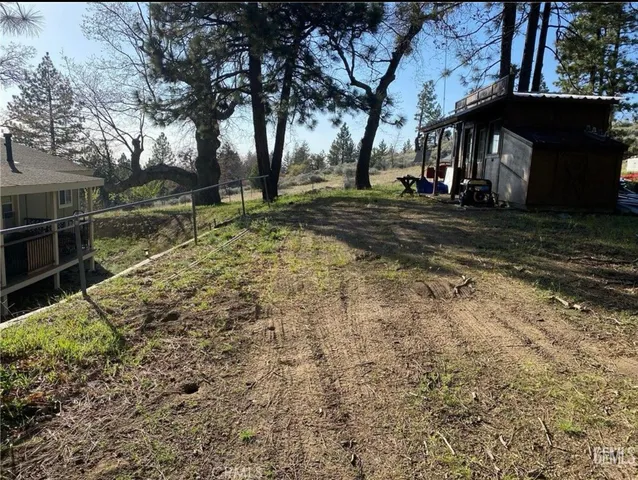 a view of a backyard with large trees