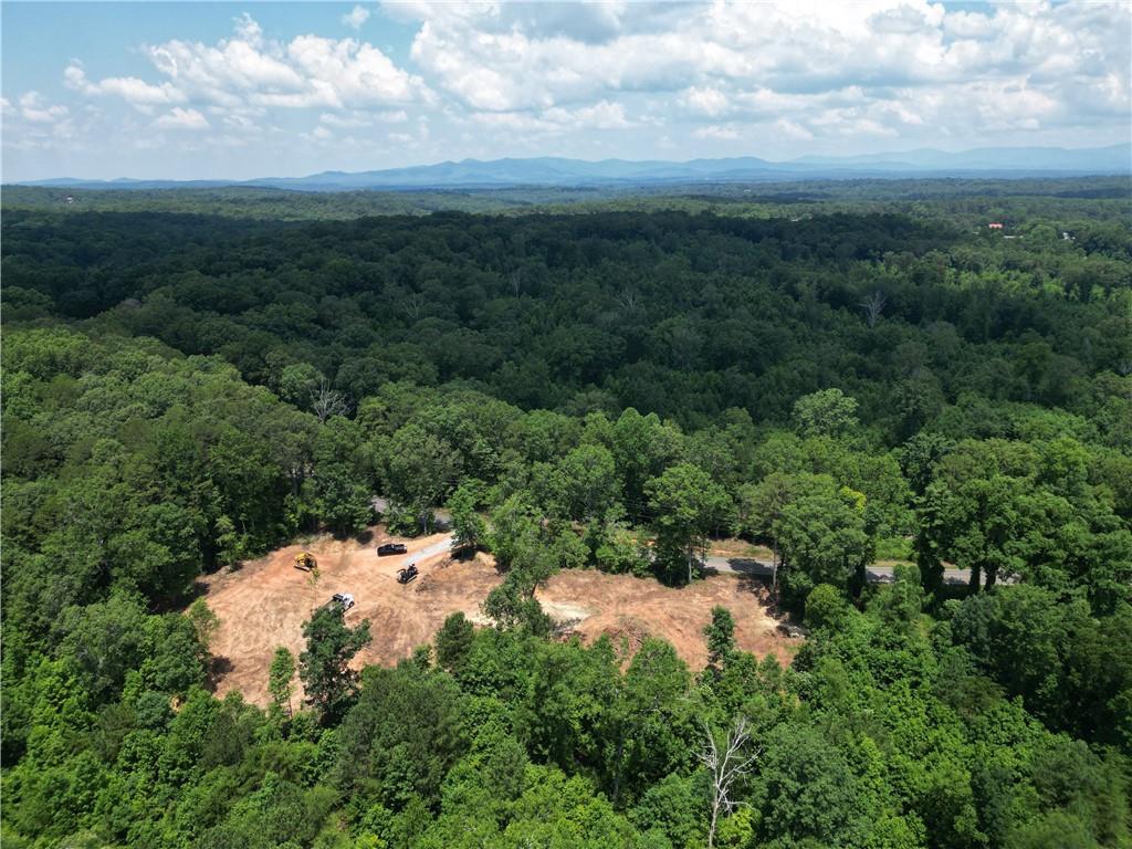 953 Round Top Road Ellijay, GA 30540 - Photo 10 of 14