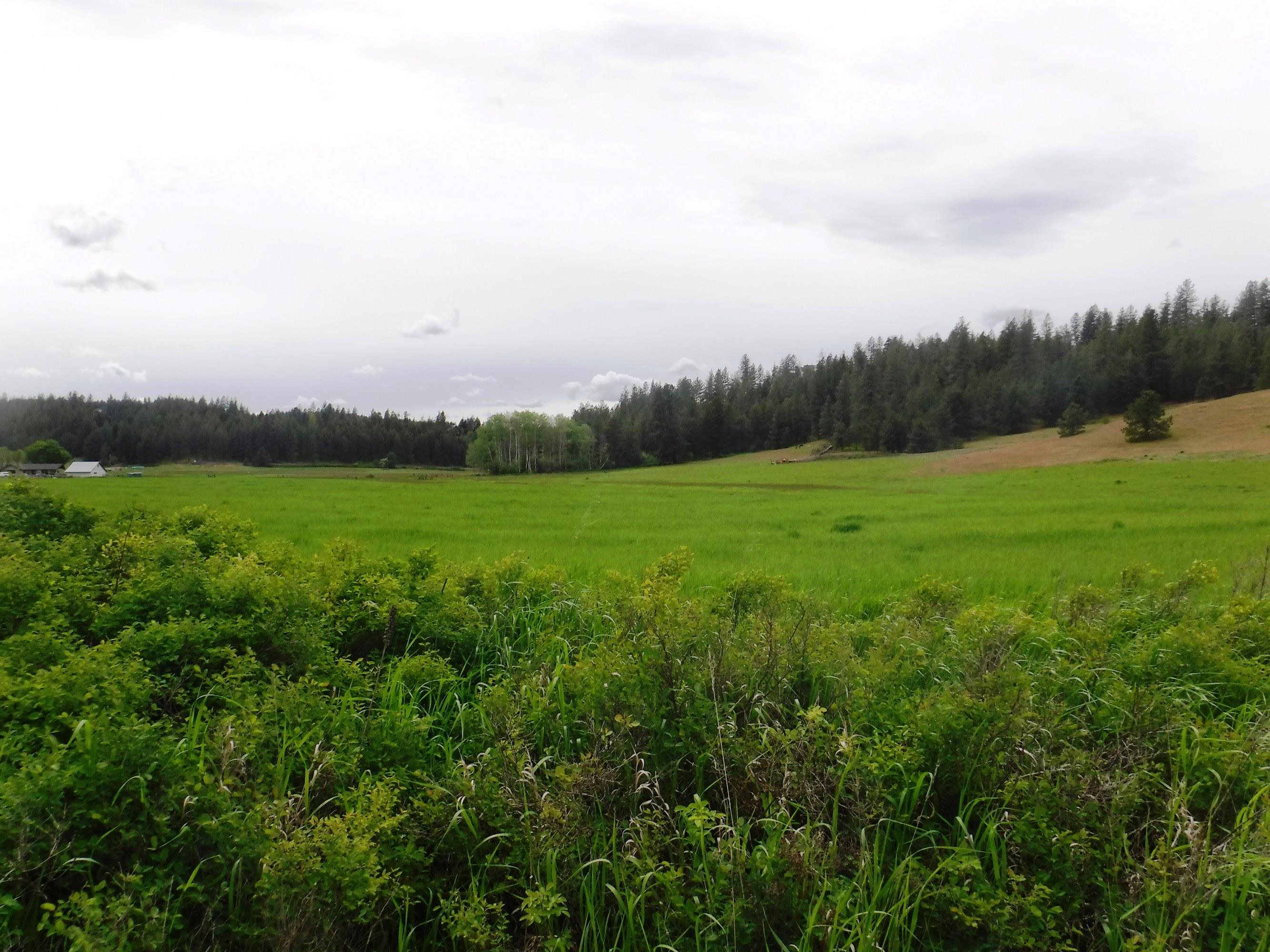 Xx East Woolard Road Colbert, WA 99005 - Photo 5 of 23