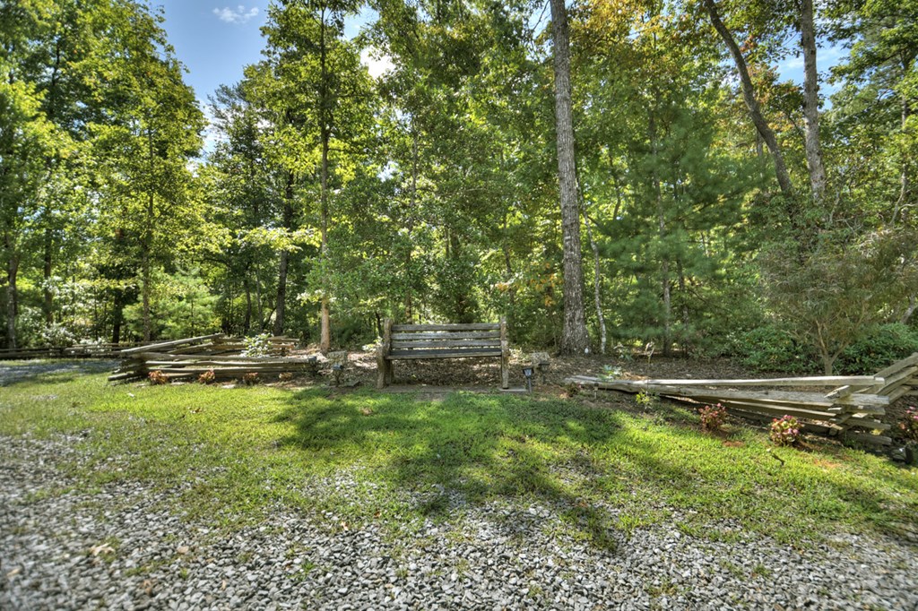 1428 Power Dam Road Blue Ridge, GA 30513 - Photo 49 of 52 Gallery Image 49