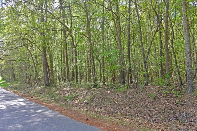 $135,000 | 0 Ridgelake(lots 8 9 10 11) Circle, St. Matthews, SC 29135