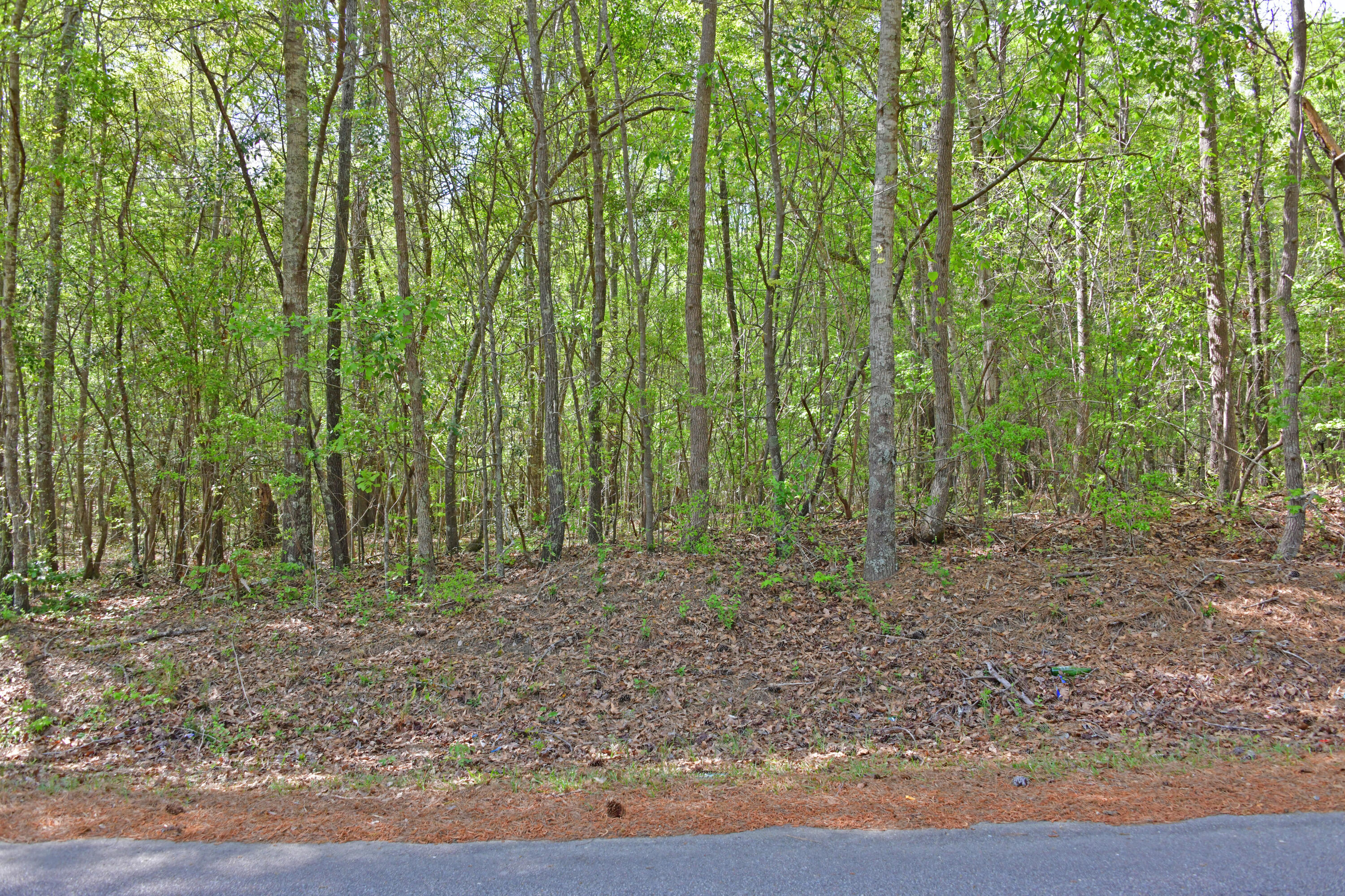 0 Ridgelake(lots 8 9 10 11) Circle St. Matthews, SC 29135 - Photo 2 of 4 Ridgelake Cir lots 8-11.2