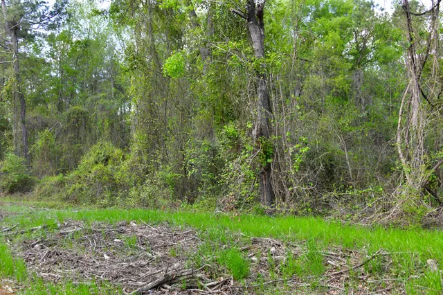 $135,000 | 0 Ridgelake(lots 8 9 10 11) Circle, St. Matthews, SC 29135