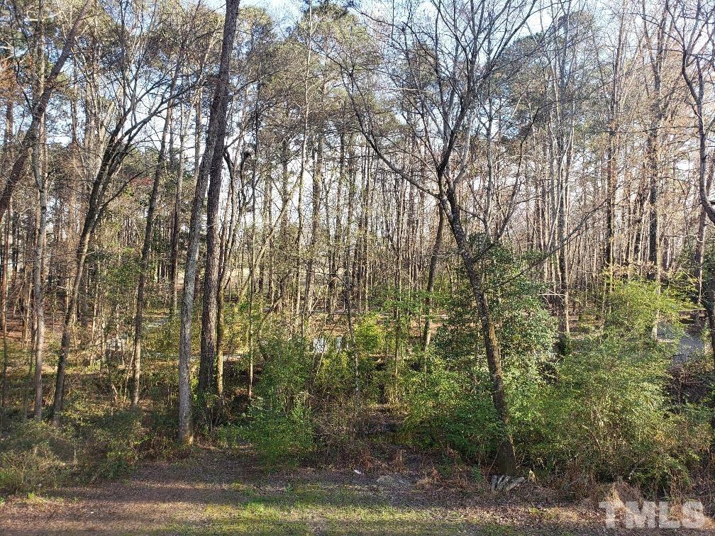 198 Pope Lake Road Angier, NC 27501 - Photo 17 of 19 a view of a forest