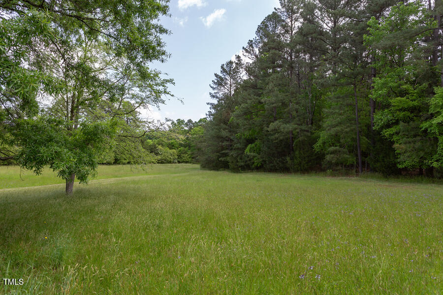 3604 Pasture Road Hillsborough, NC 27278 - Photo 39 of 44 In addition to all the treed areas, several acres of open pasture land are part of the 10 acres.