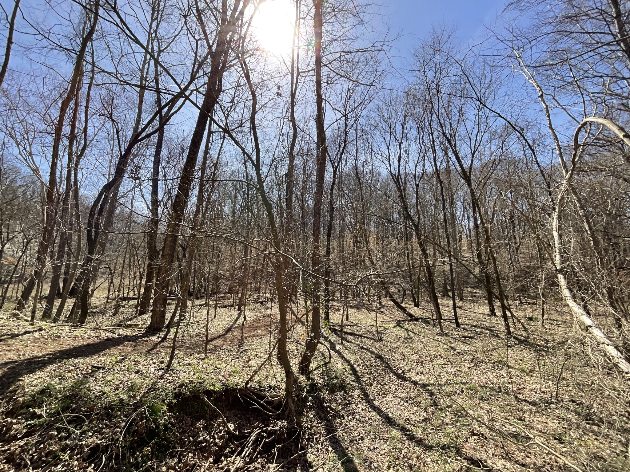 1 Brothers Road Dover, TN 37058 - Photo 23 of 37 Gallery Image 23