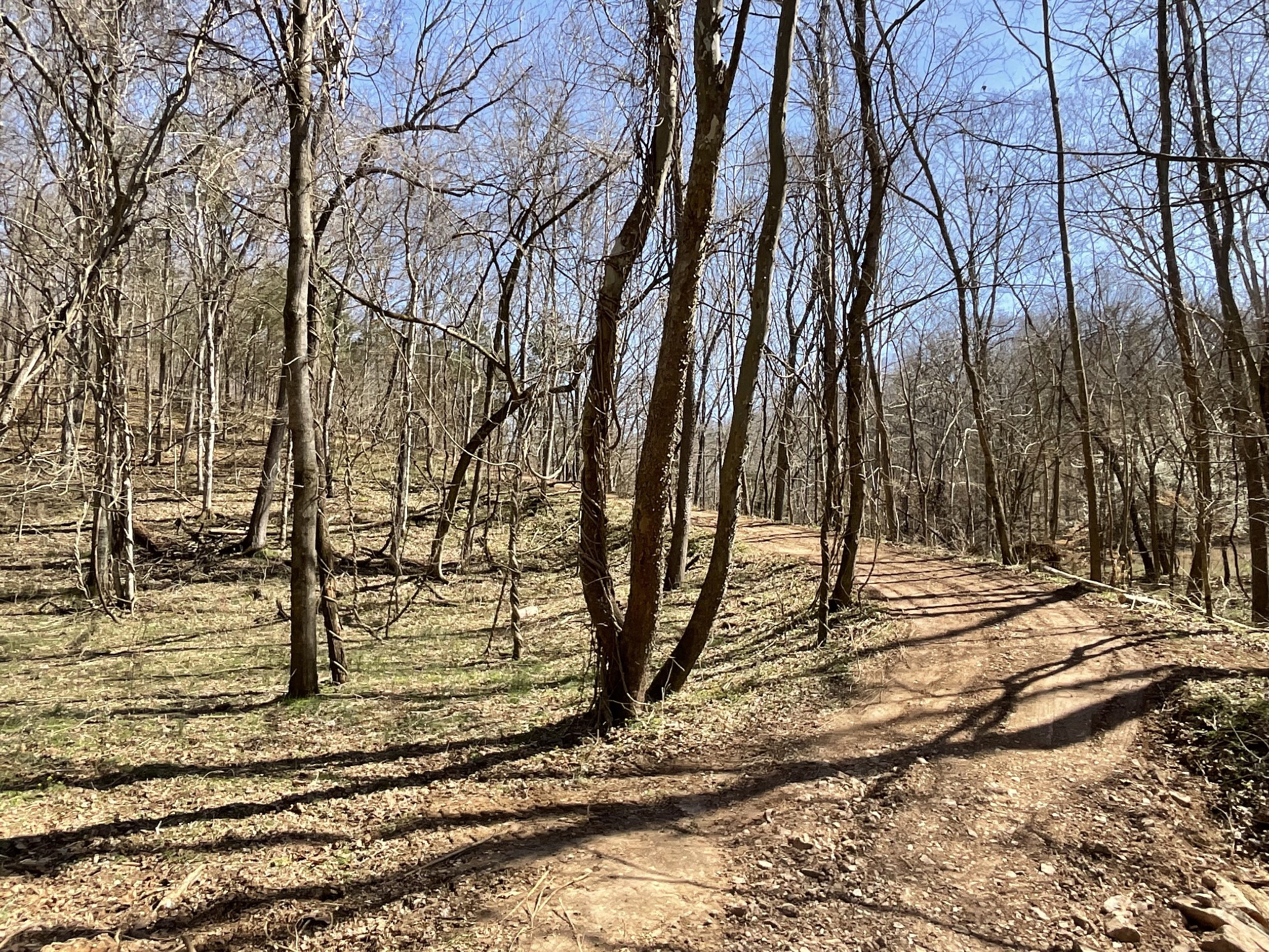 1 Brothers Road Dover, TN 37058 - Photo 24 of 37 Gallery Image 24