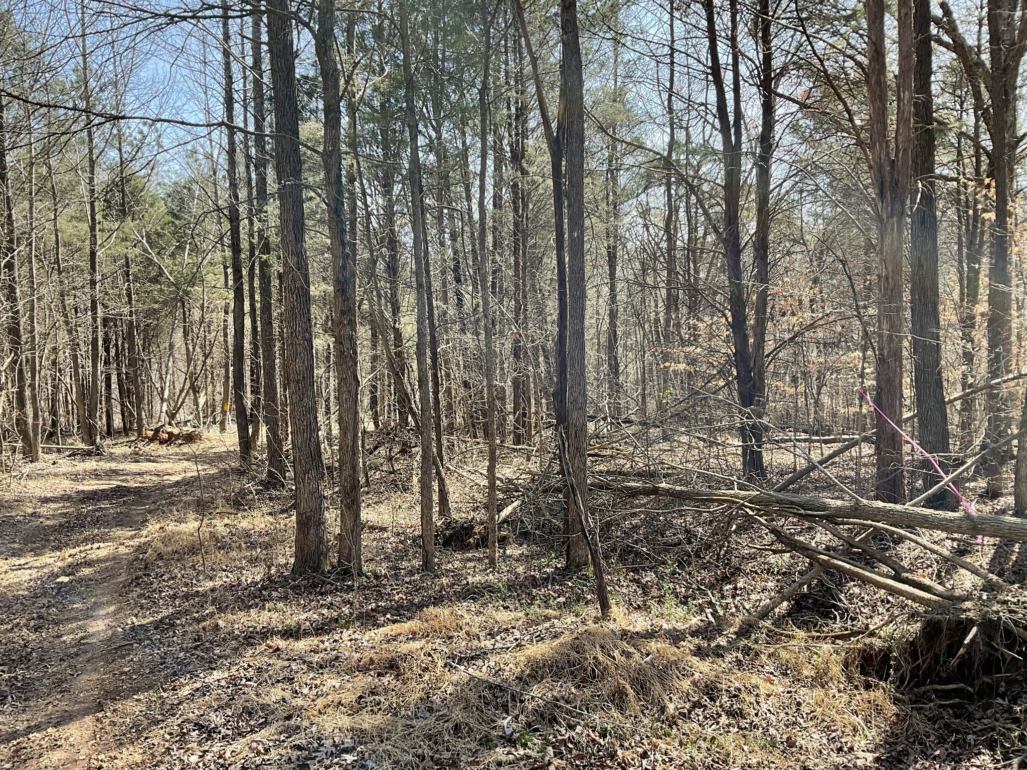1 Brothers Road Dover, TN 37058 - Photo 27 of 37 Gallery Image 27