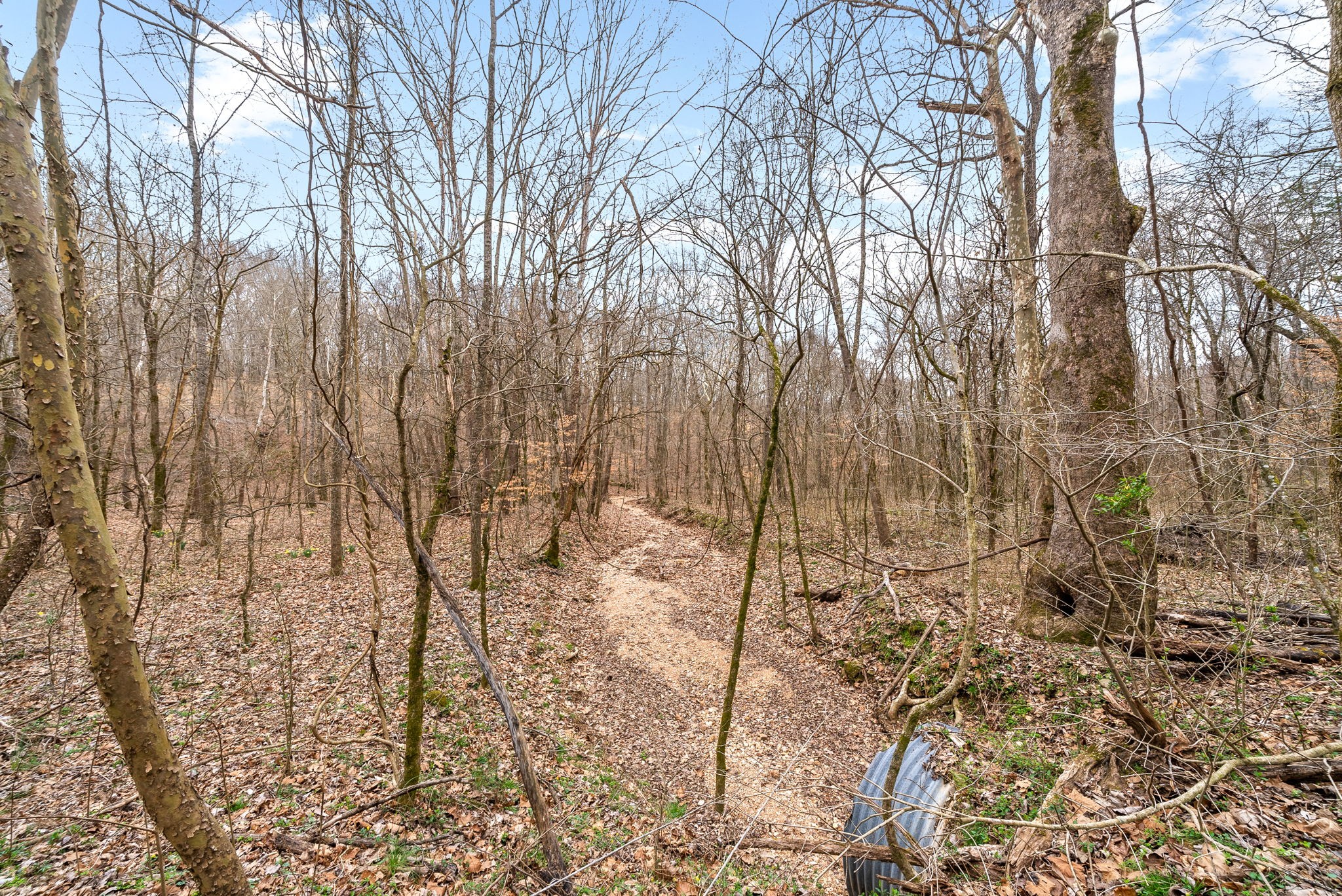 1 Brothers Road Dover, TN 37058 - Photo 3 of 37 Gallery Image 3