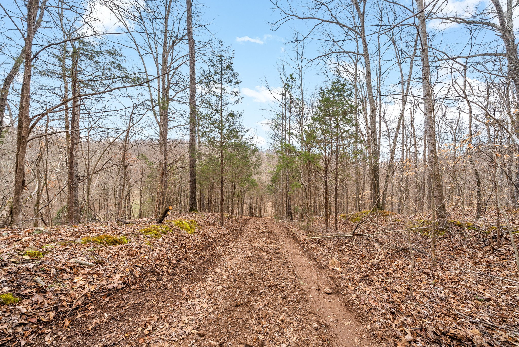 1 Brothers Road Dover, TN 37058 - Photo 8 of 37 Gallery Image 8