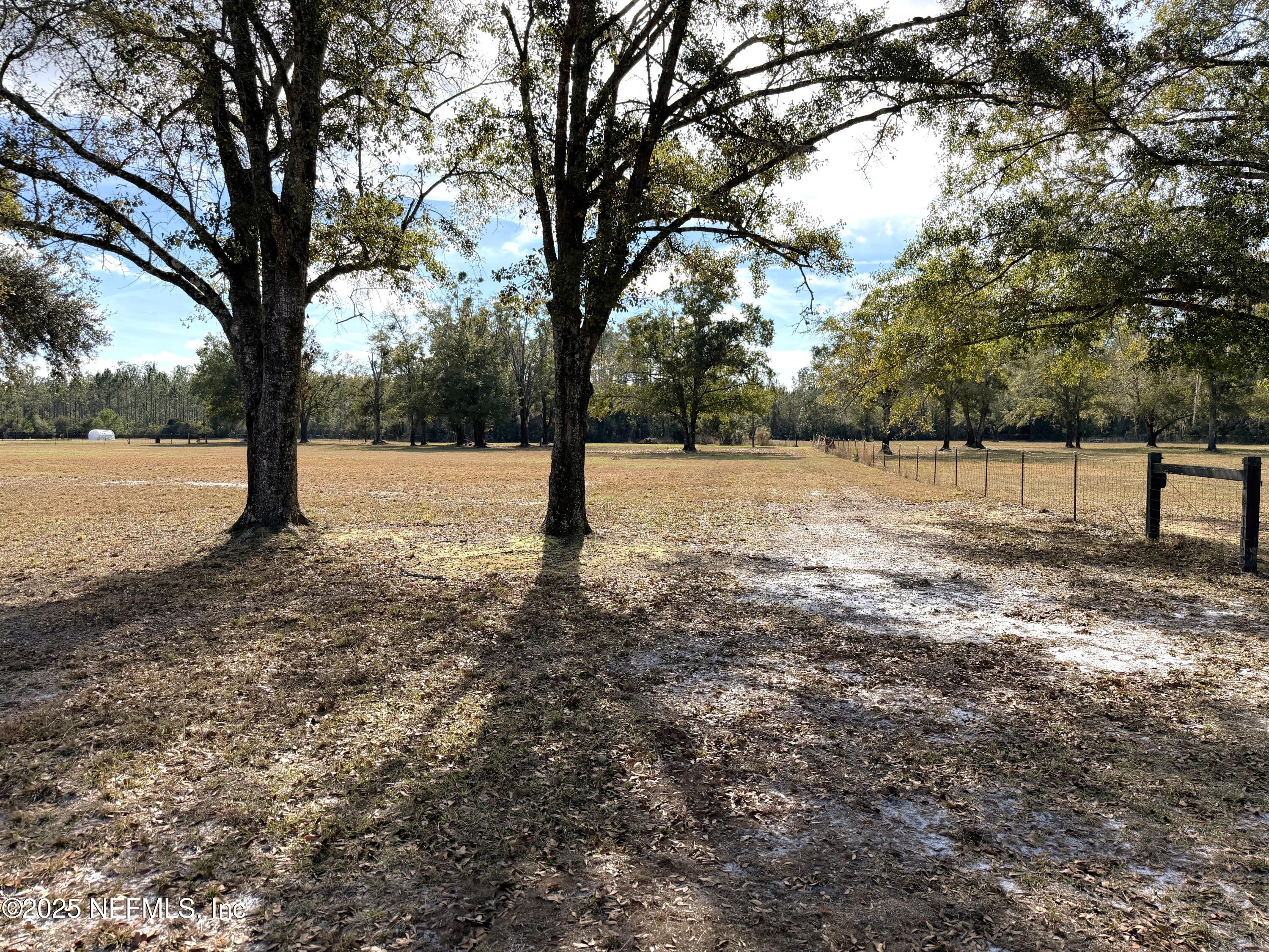 3 The Oaks Ranch Rd Green Cove Springs Green Cove Springs, FL 32043 - Photo 6 of 8 a view of empty yard with tree s
