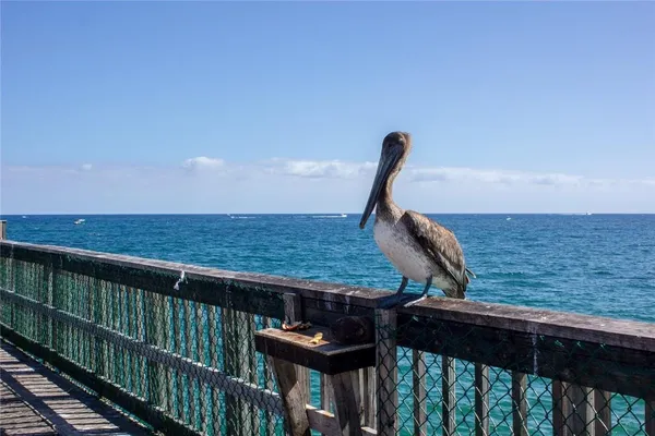 $2,600 | 2900 Northeast 14th Street Causeway, Unit 514, Pompano Beach, FL 33062