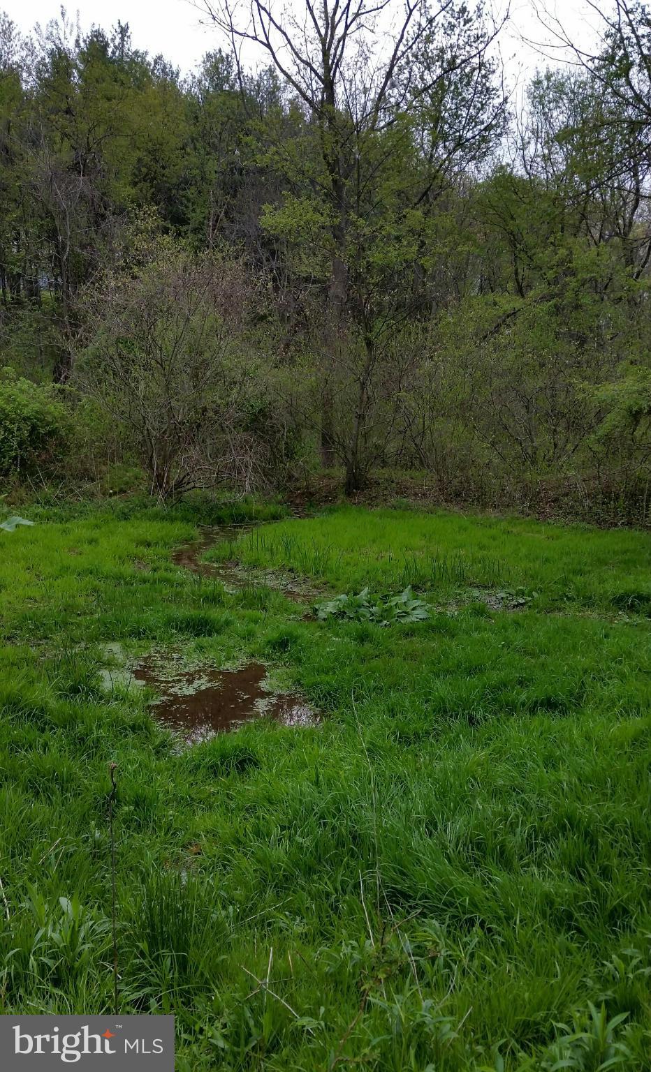 4218 Church Road Manchester, MD 21102 - Photo 11 of 14 Near stream thick grassland area.