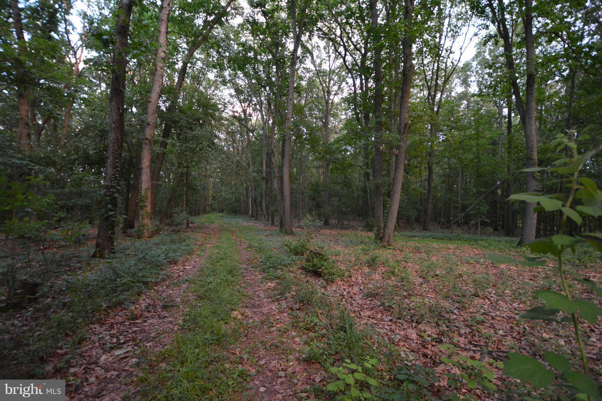 4218 Church Road Manchester, MD 21102 - Photo 14 of 14 One tenth mile driveway