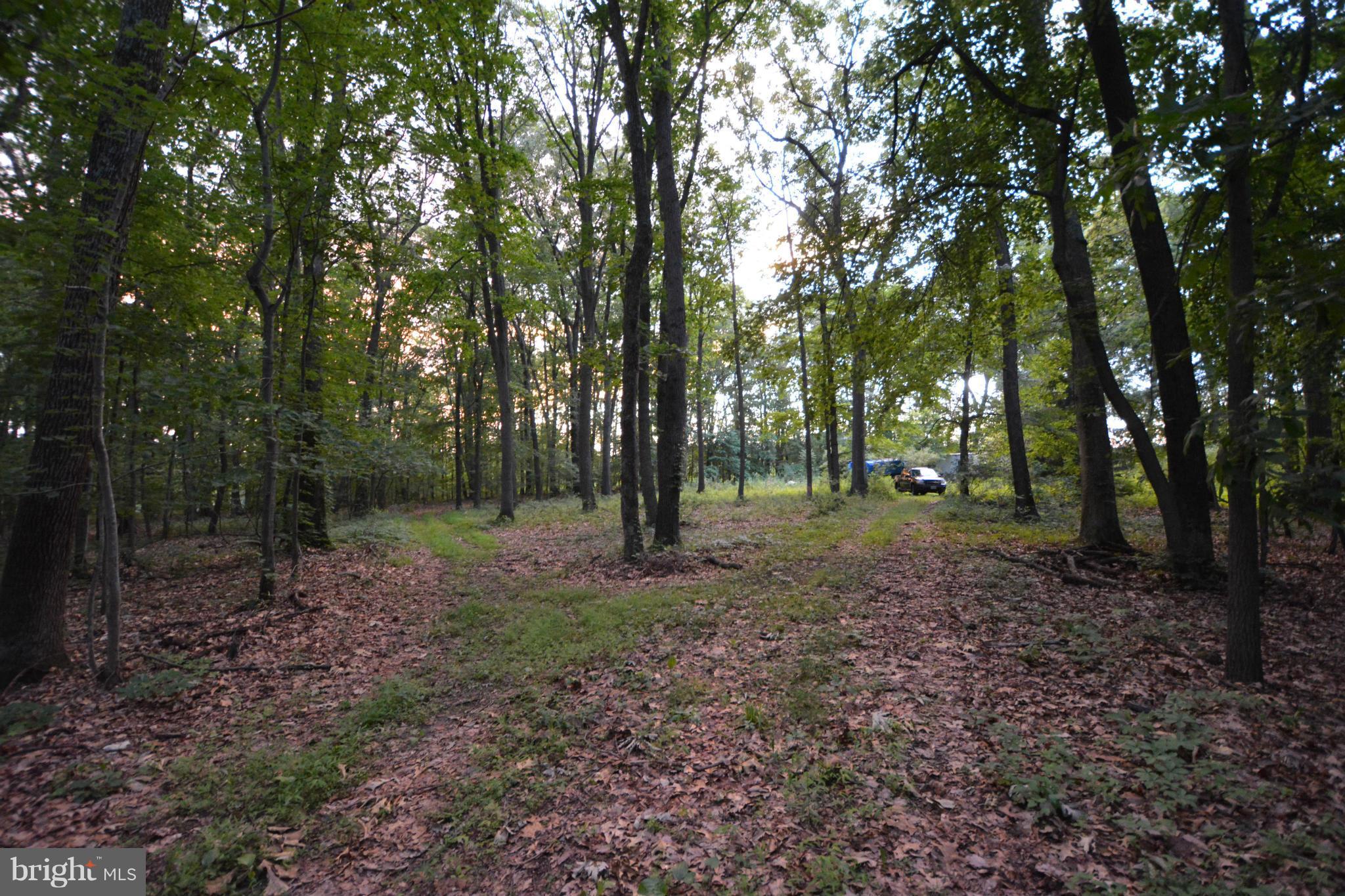 4218 Church Road Manchester, MD 21102 - Photo 3 of 14 Mostly wooded