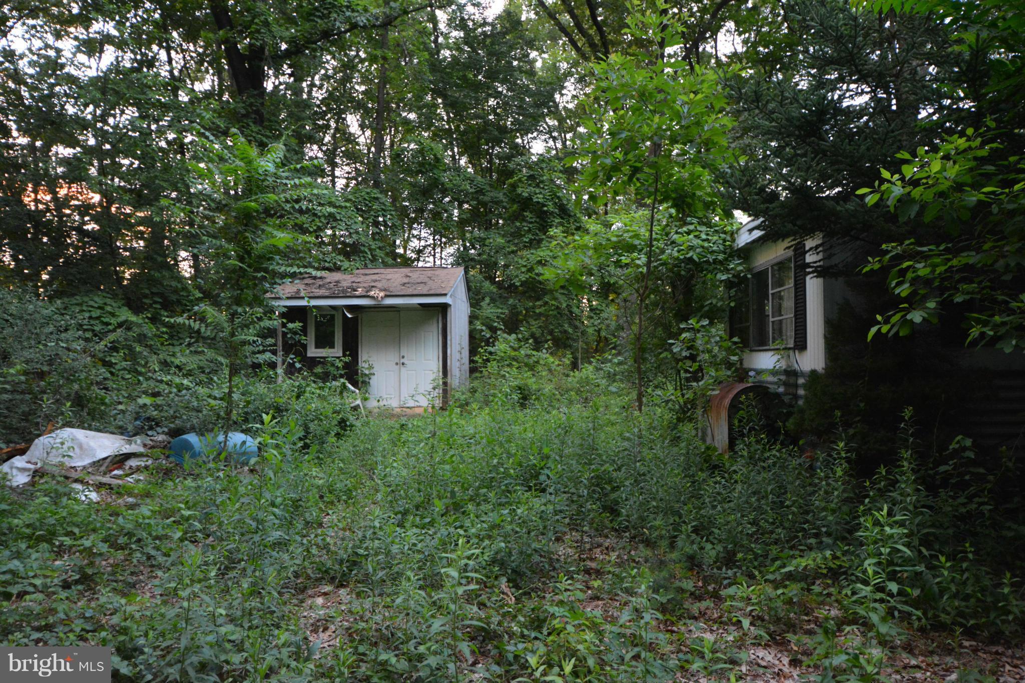 4218 Church Road Manchester, MD 21102 - Photo 7 of 14 Shed well inside