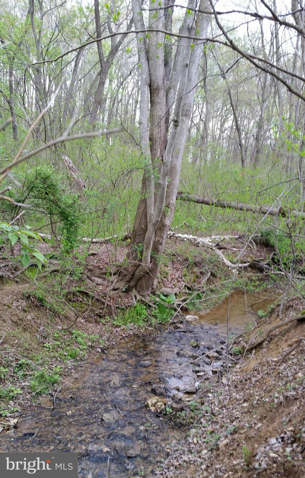 4218 Church Road Manchester, MD 21102 - Photo 10 of 14 Small area of stream water