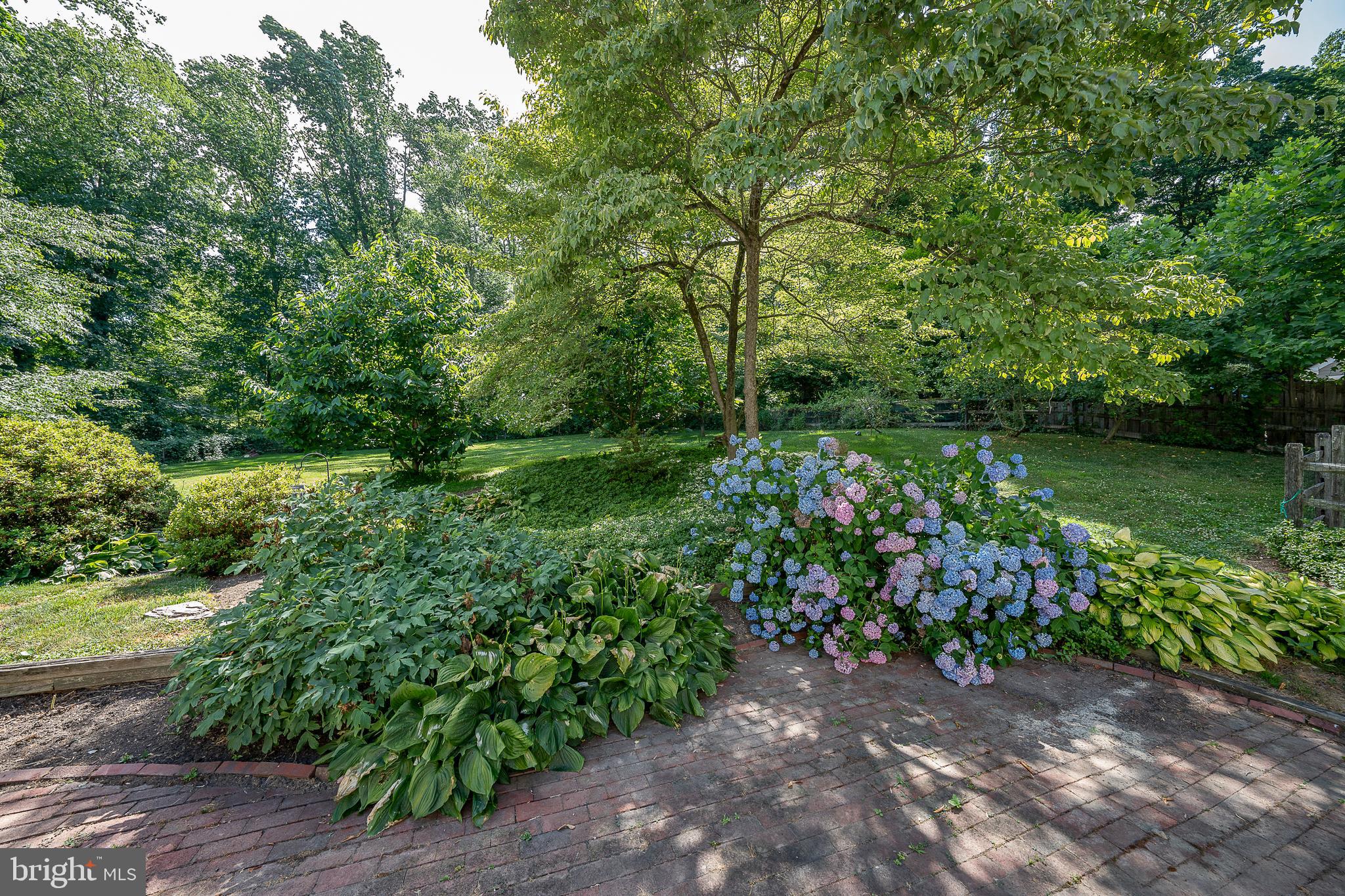 820 Milmar Road Newtown Square, PA 19073 - Photo 25 of 32 a view of a garden with plants and large trees