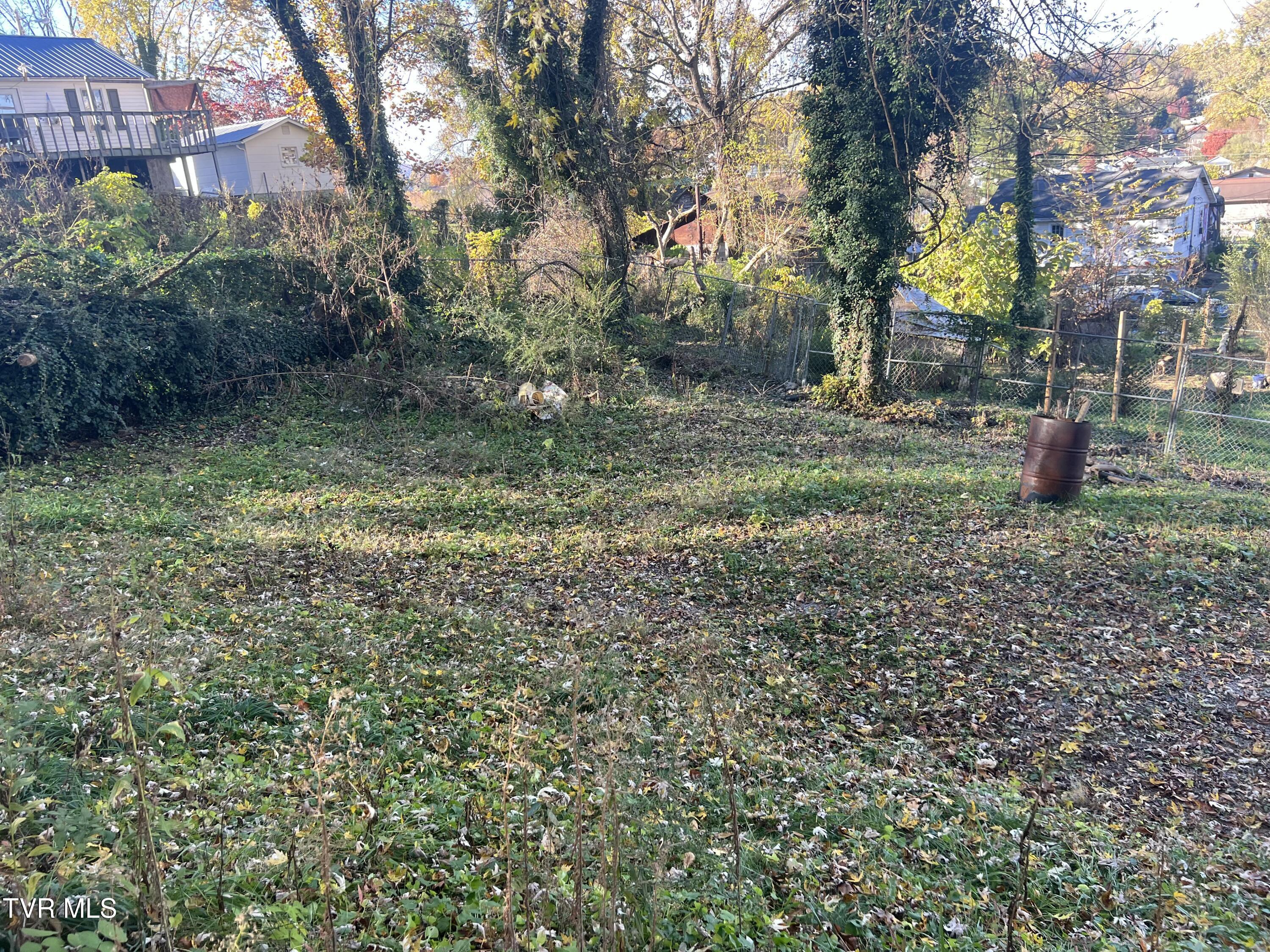 306 Delaware Street Kingsport, TN 37665 - Photo 3 of 15 IMG_7045