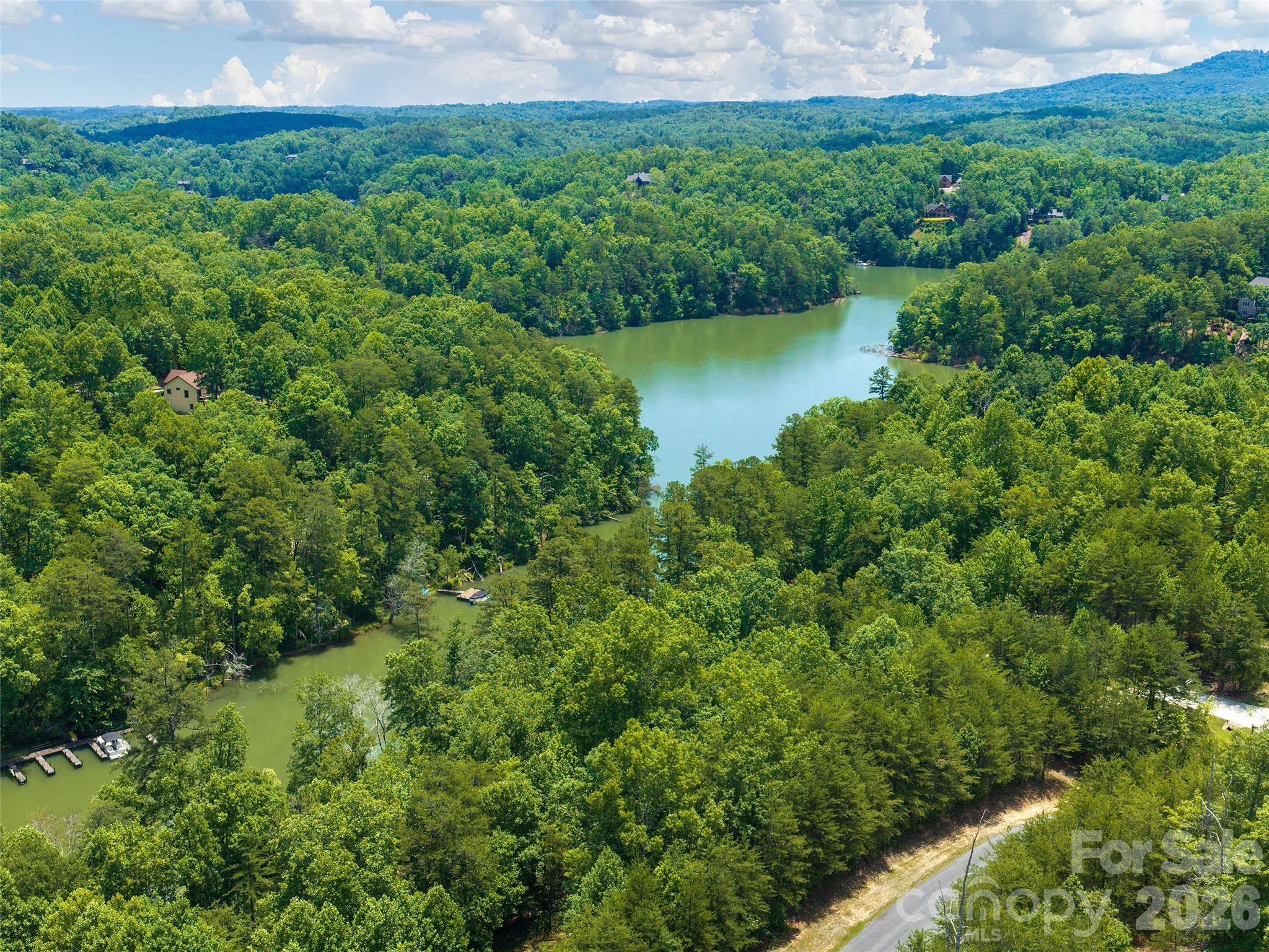 Lot 14 Parkway North Rd Mill Spring, Unit 14 Mill Spring, NC 28756 - Photo 10 of 14