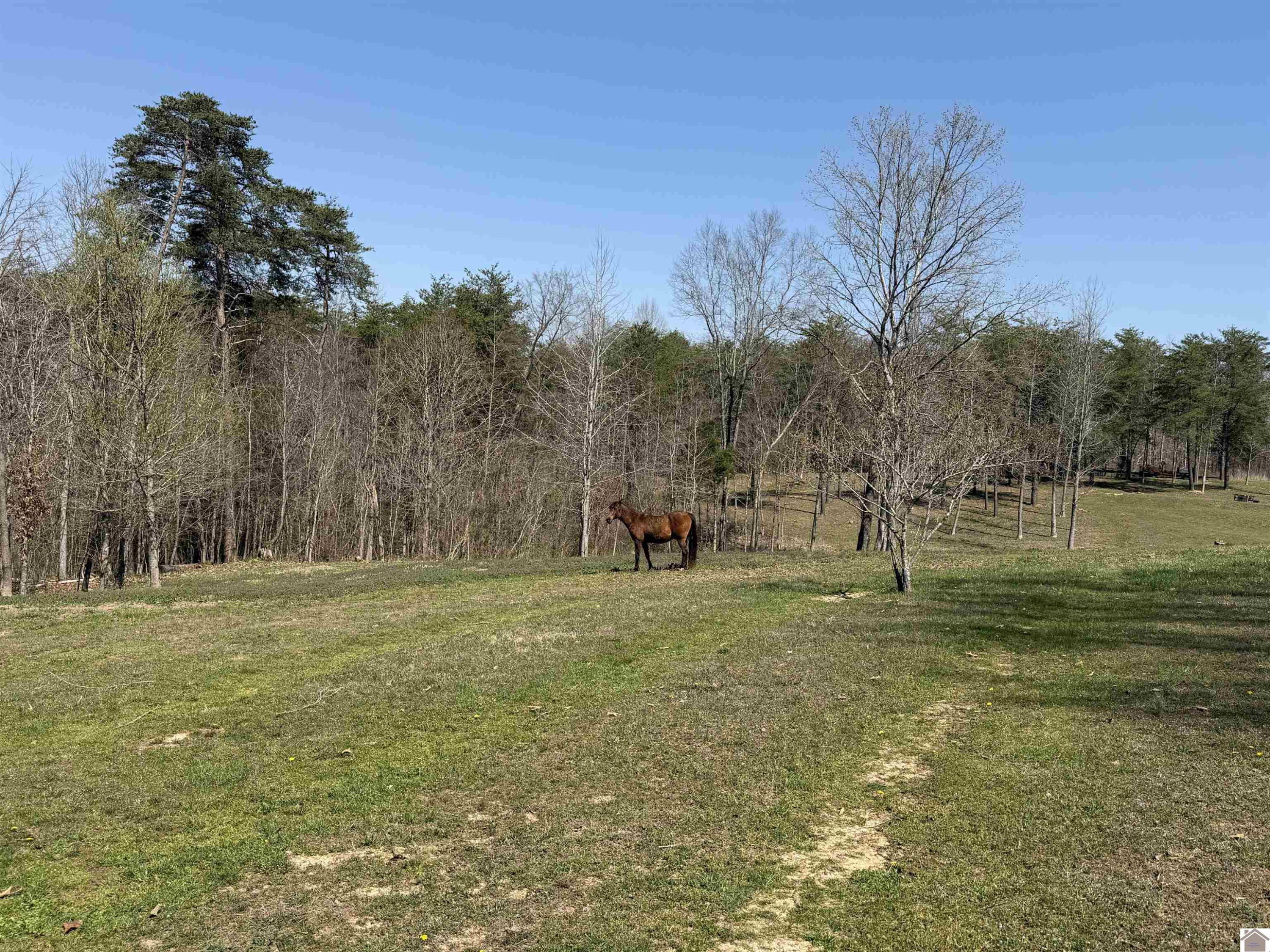 1249 Fairview Church Road Princeton, KY 42445 - Photo 31 of 40 Photo 31