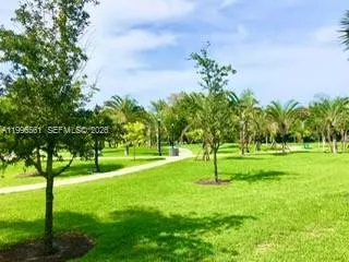a view of a park with a large tree