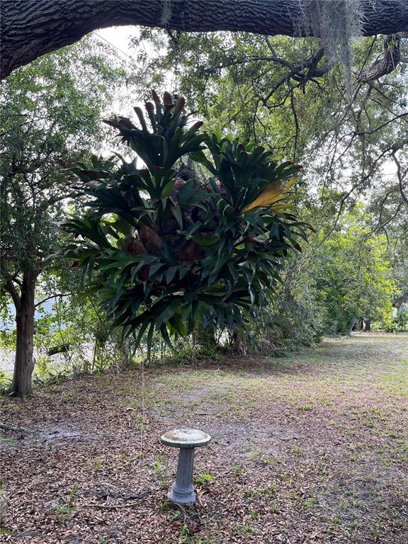 903 Anderson Road Nokomis, FL 34275 - Photo 4 of 19 Gallery Image 4