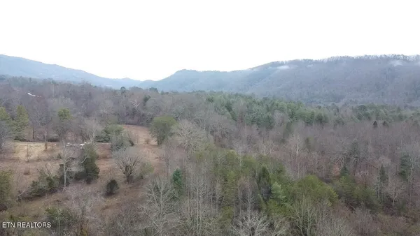$2,200,000 | 83.8-acres East Millers Cove Road, Walland, TN 37886