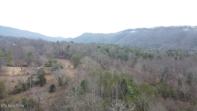 $2,200,000 | 83.8-acres East Millers Cove Road, Walland, TN 37886