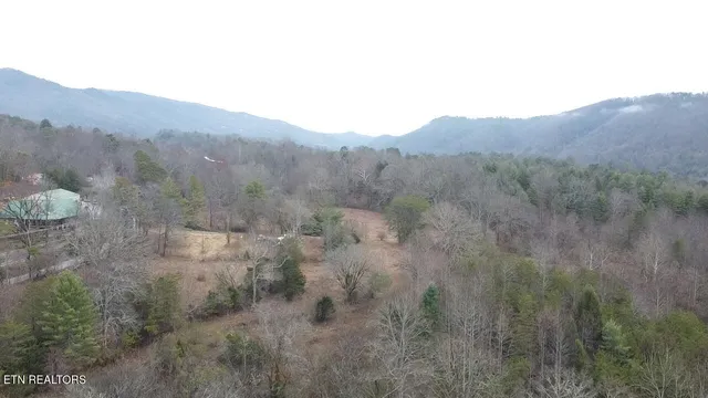 $2,200,000 | 83.8-acres East Millers Cove Road, Walland, TN 37886