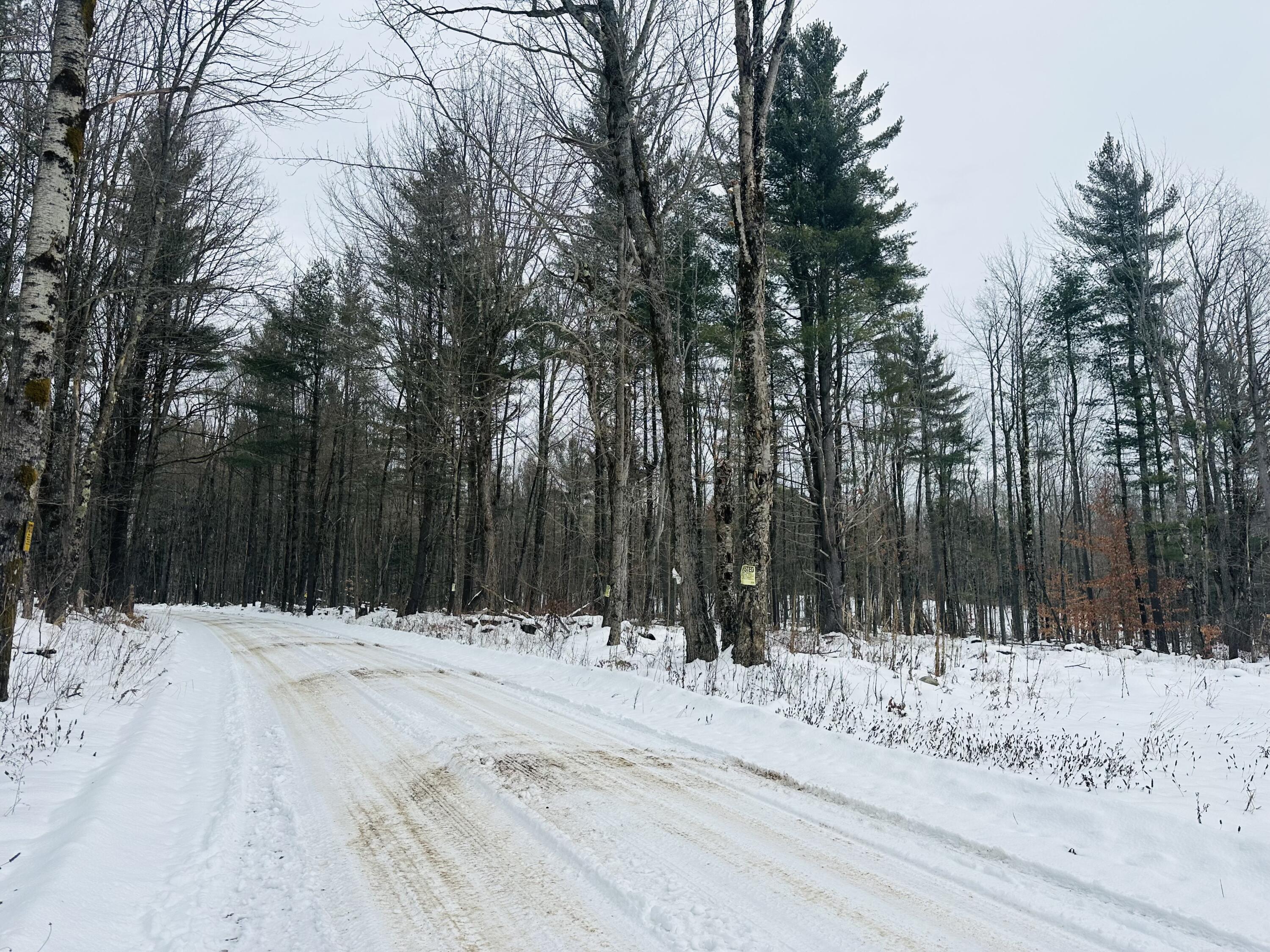 0 Perkins Road Colton, NY 13625 - Photo 2 of 8 Gallery Image 2