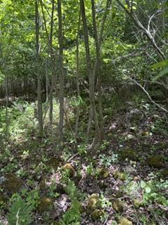13 B Richardson Road Orrington, ME 04474 - Photo 5 of 10 IMG_0792