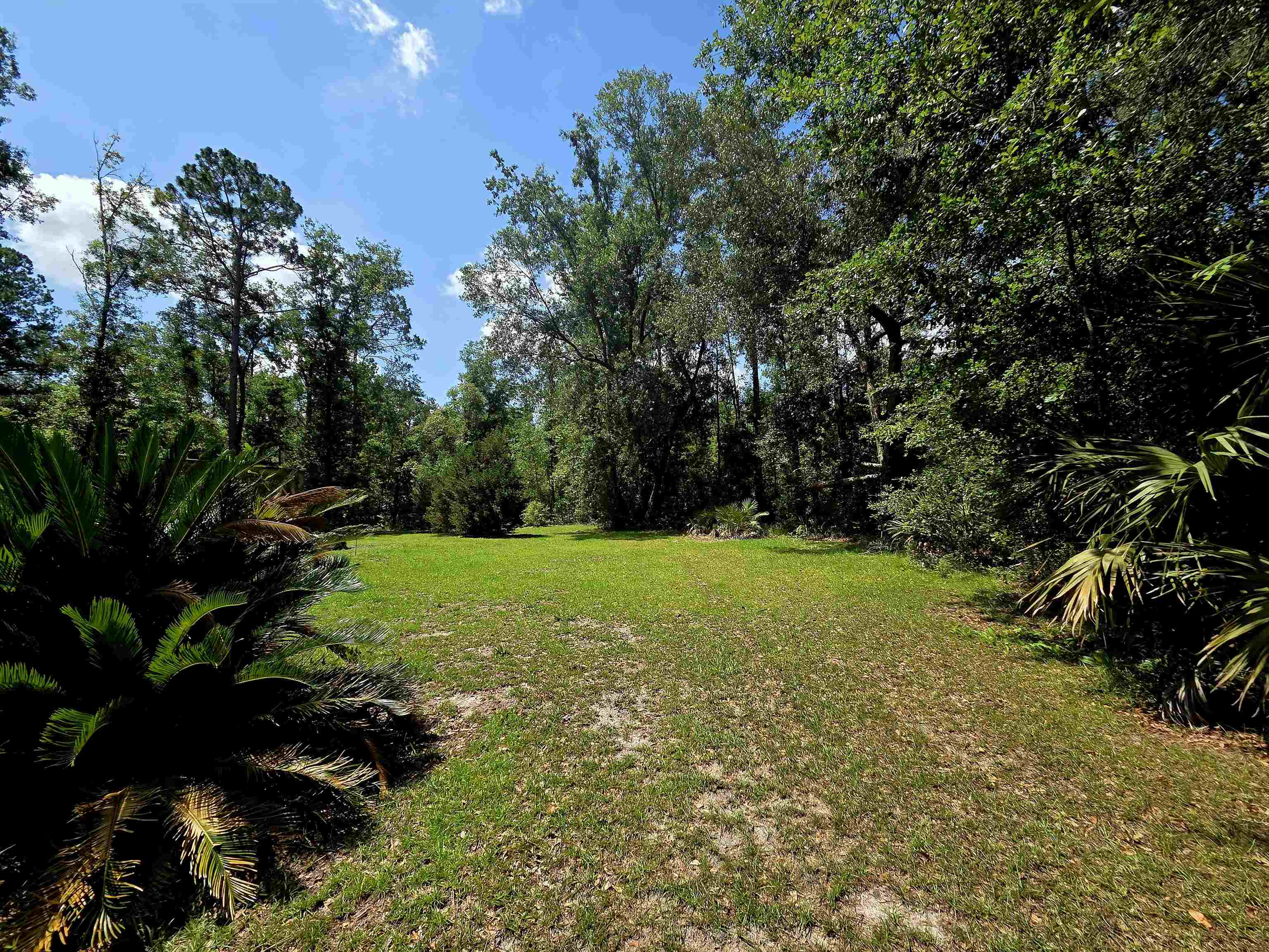 3445 Arrowhead Lane Perry, FL 32347 - Photo 33 of 48