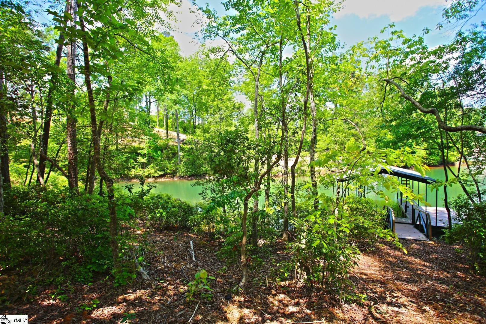 114 Cool Rdg Drive Seneca, SC 29672 - Photo 21 of 46