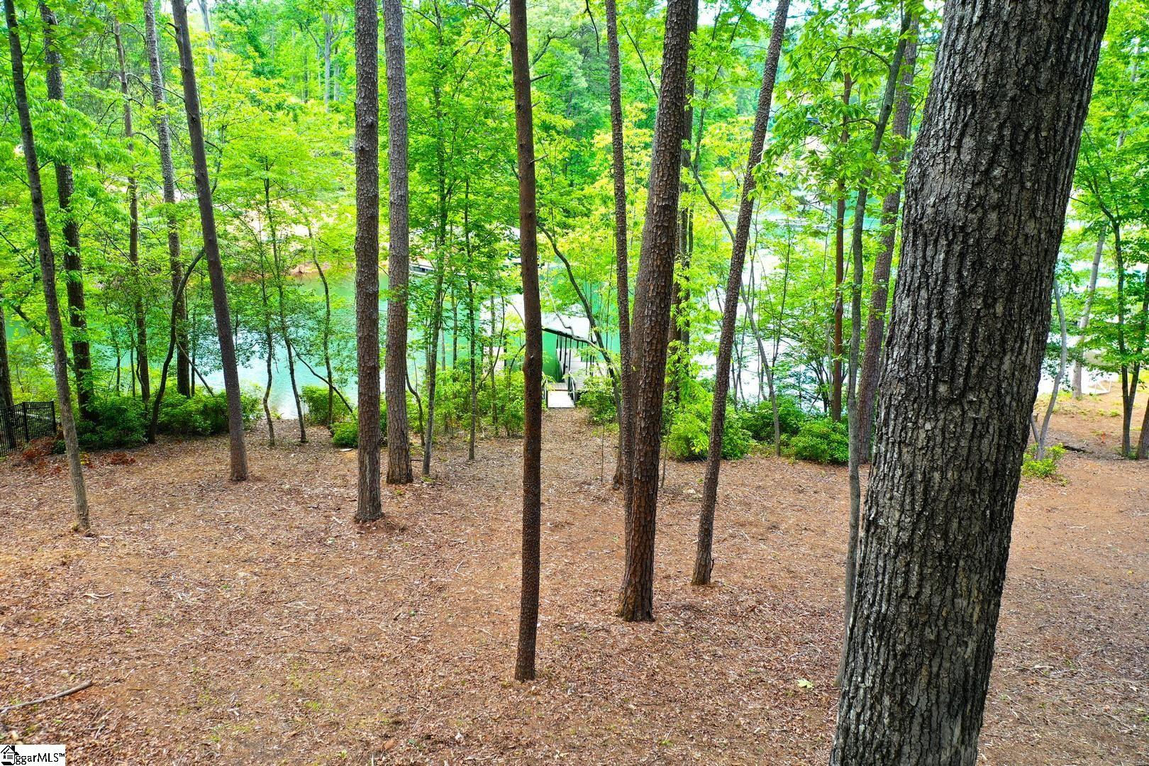 114 Cool Rdg Drive Seneca, SC 29672 - Photo 8 of 46