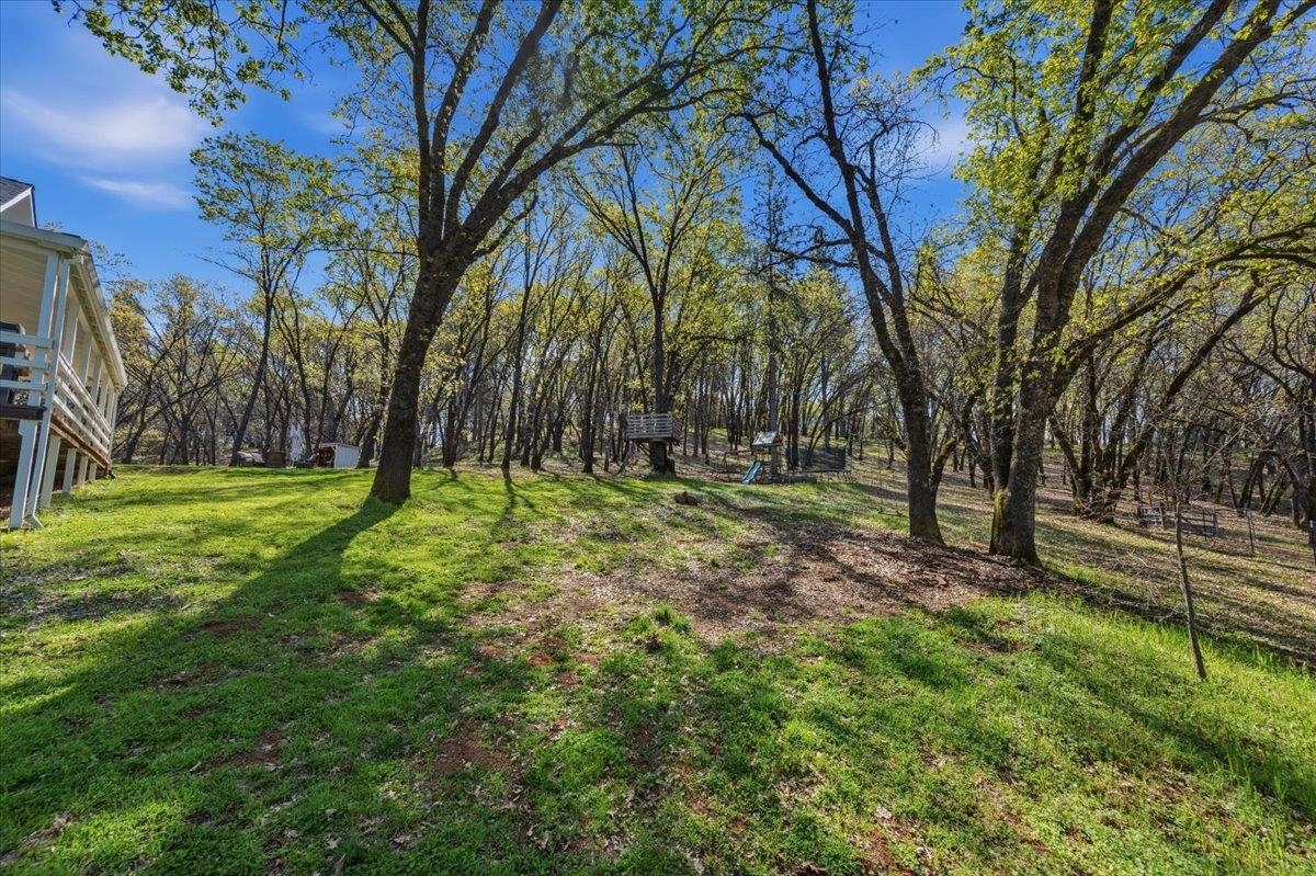 11403 Woodacre Road Grass Valley, CA 95949 - Photo 57 of 69 a view of outdoor space with deck and tree