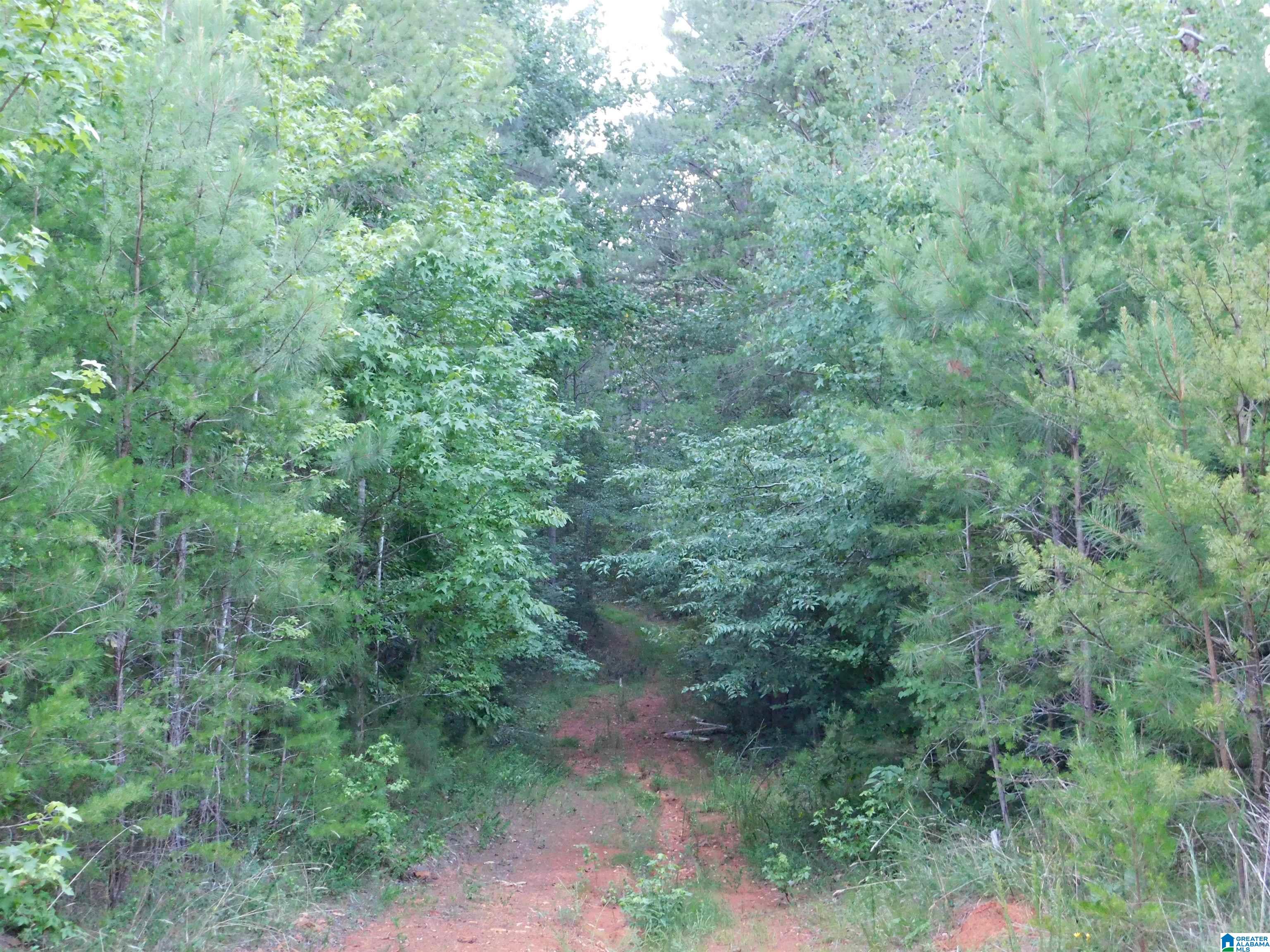 337 Lees Bridge Road, Unit 17 01 06 14 0 000 005 Delta, AL 36258 - Photo 6 of 8