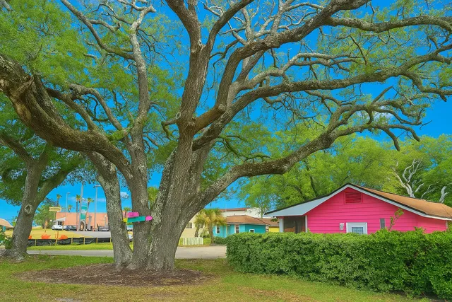a front view of a house with yard
