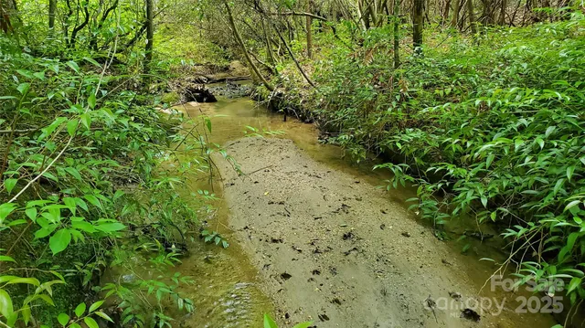 $175,000 | 755 Hamilton Drive, Columbus, NC 28722