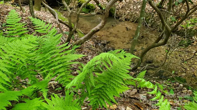 $175,000 | 755 Hamilton Drive, Columbus, NC 28722