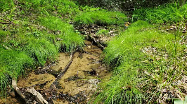 $175,000 | 755 Hamilton Drive, Columbus, NC 28722