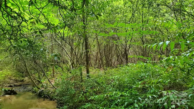 $175,000 | 755 Hamilton Drive, Columbus, NC 28722